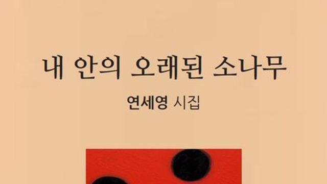 [신간] 『내 안의 오래된 소나무』