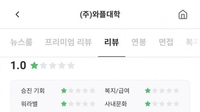 와플대학 잡플래닛 리뷰