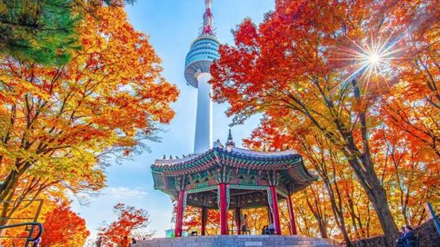 이번 주말, 가을 나들이 간다면… 선선한 날씨에 어울리는 '서울 명소' 4곳