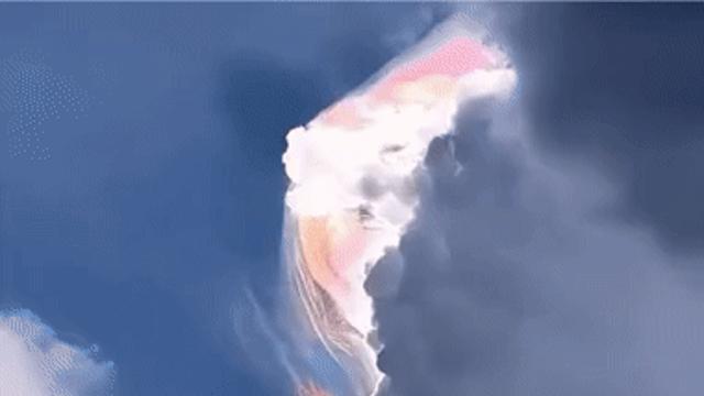 진짜 운 좋으면 볼 수 있다는 자연 광경    아