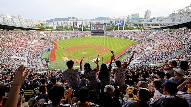 세계 야구 랭킹 1위는 일본이었다…한국은 몇 위에 이름 올렸나