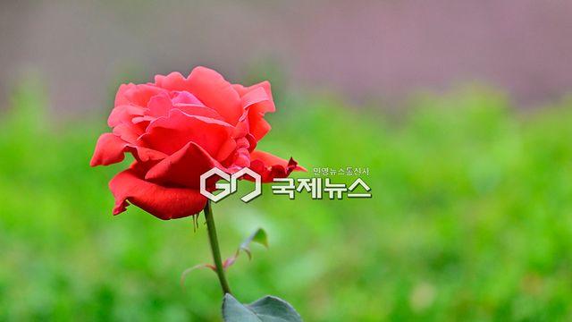 [다음주 날씨] 대체로 흐리고 수·목 비 소식...서울 낮 최고 27도·부산 28도