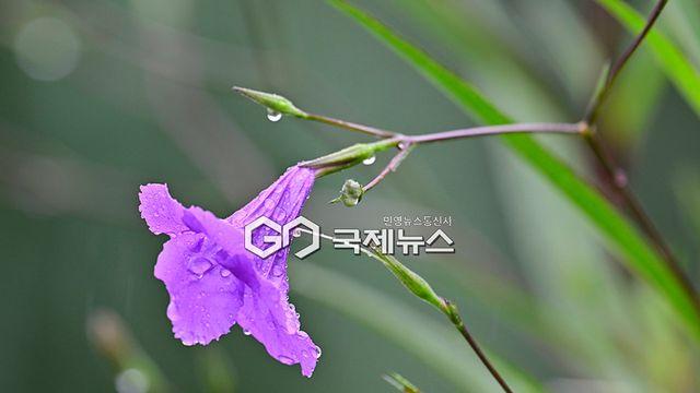 [오늘날씨] 경기·경북 내륙 '짙은 안개'...서울 낮 26도·부산 27도 '가을 성큼'