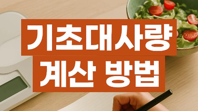 기초대사량 BMR 계산 방법 쉽게 알아보고 건강하게 활용해보세요