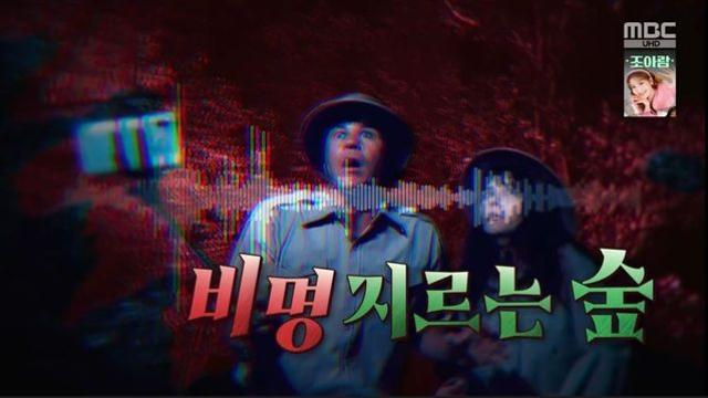 매일 밤 숲에서 들리는 ‘기묘한 비명’… 주민들이 밝혀낸 충격적 진실 (‘서프라이즈’)