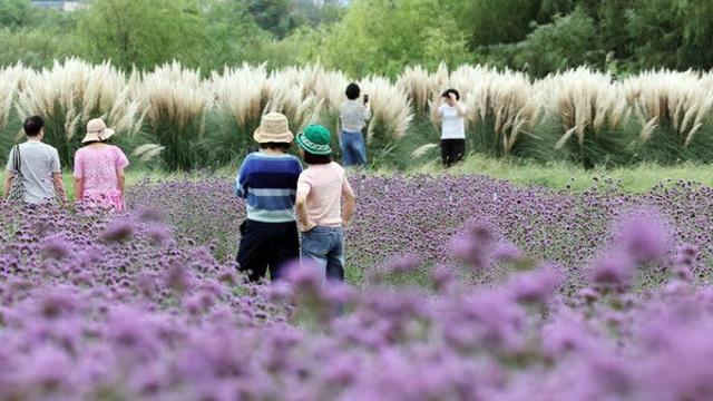 부산, 구름 많은 날씨…낮 최고기온 27도