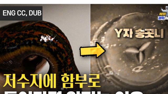 [지식인미나니의 과학현장] 개도국 생태학자들과 함께 본 국립생태원 습지…어떤 생명체가?