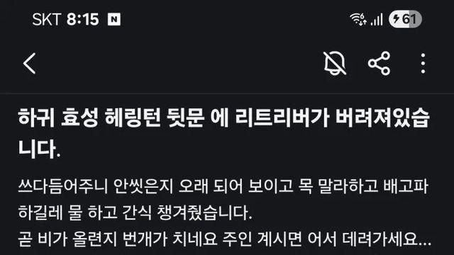 누가 리트리버를 길에 버리고 갔어요