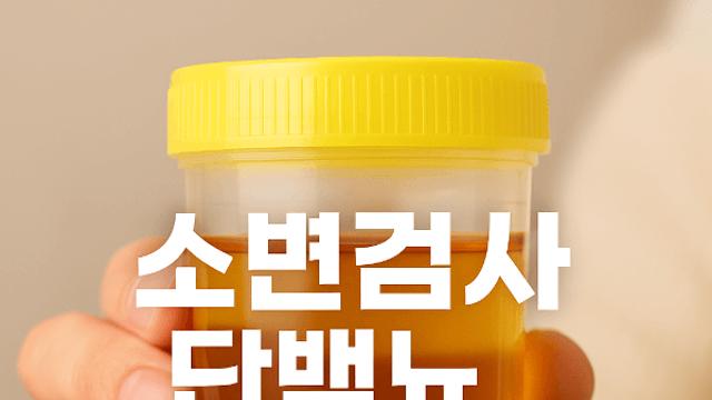 소변검사 단백뇨 결과 의미 제대로 이해하고 관리해보세요