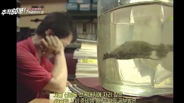 공부는 노력이라고 믿은 자의 최후