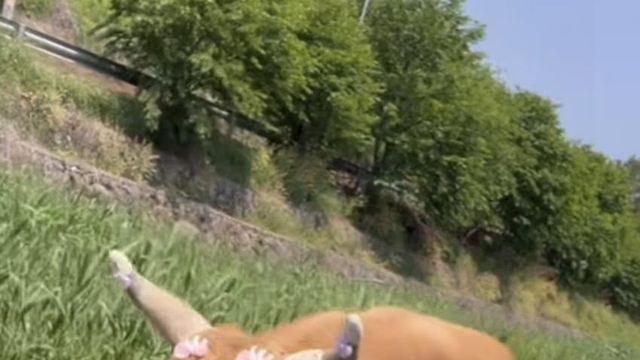 어질어질 이젠 하다하다 등장한 소맘