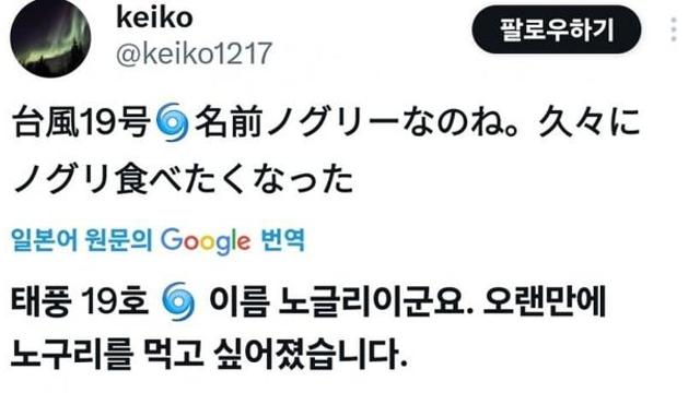 19호 태풍 '너구리' 일본 상륙중 일본인들 반응