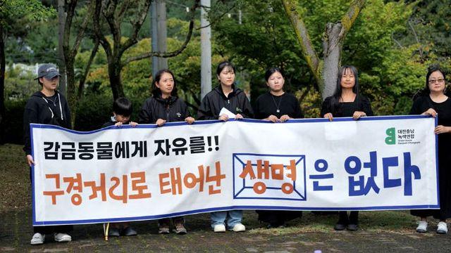 대전충남녹색연합 