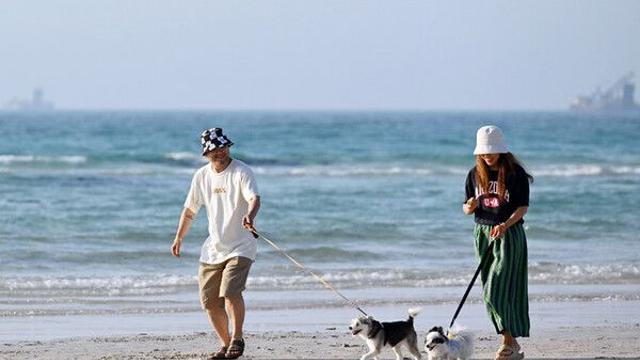 반려동물과 함께 떠나는 가을여행…행사·편의시설 다양