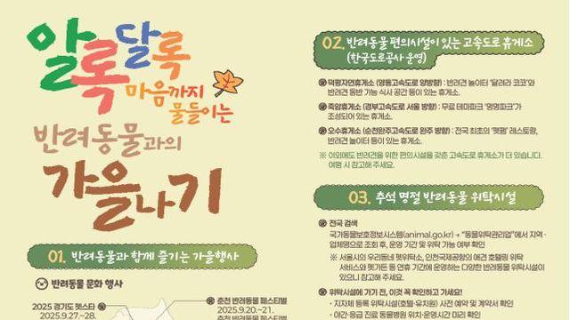 “요미랑 가을 여행 떠나볼까?”