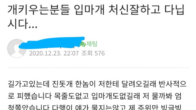 개 키우는 분들 입마개 처신 잘하고 다닙시다