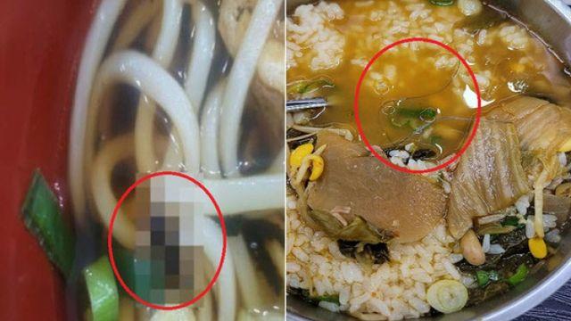 곧 추석인데…“우동 안에 귀뚜라미” 휴게소 위생 ‘비상’