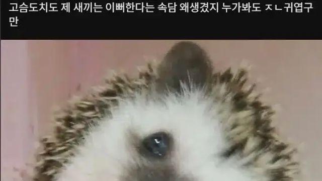 이해가 가지 않는 속담,,