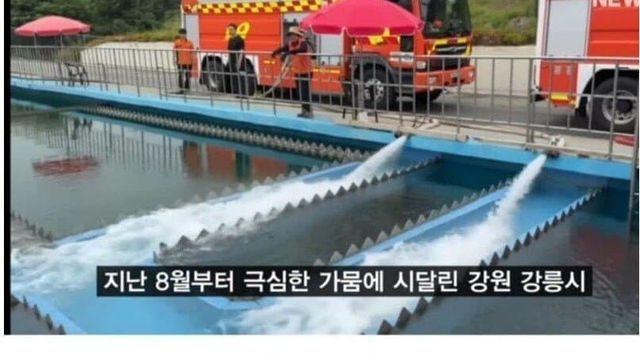 아하아하 극한 가뭄의 강릉에서 단수 없이 물 쓰는 법.jpg