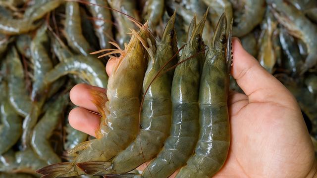 요즘 가장 맛있다는데…  잘못 사면 낭패 보는 ‘국민 수산물’