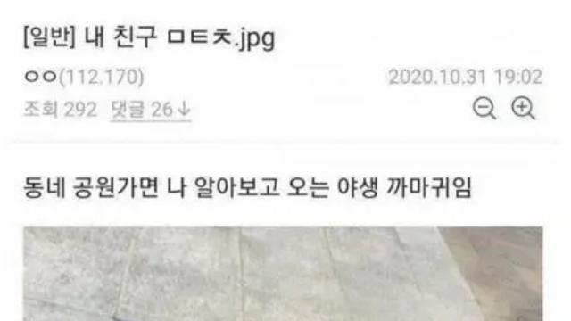 공원에서 날 알아보는 친구.