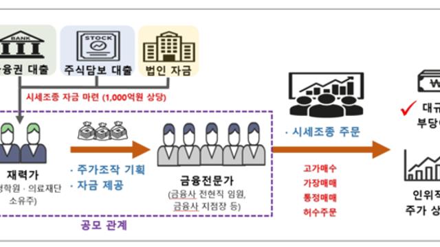 합동대응단, 1000억원대 주가조작 엘리트 세력 적발…'1호 패가망신' 사건