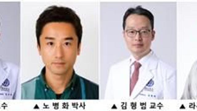 유전성 난청 치료용 유전자 가위 전달 플랫폼 개발…기존 운반체 대비 효과 23.5배 향상