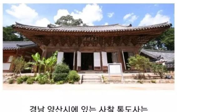 스님이 200년 동안 찾지 못한 물감그릇