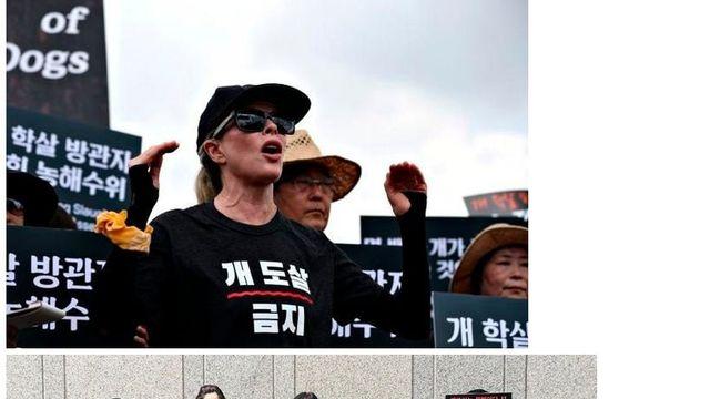 시위 맞대응 레전드 ㄷㄷㄷ