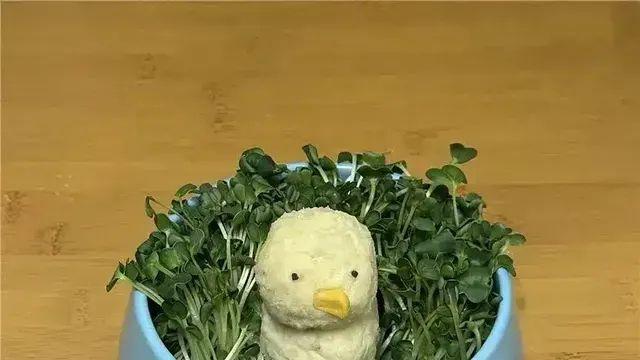 [스압] 흰둥이 밥그릇에 밥먹는 사람.,,