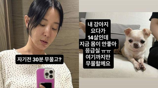 이지혜, 새벽 응급실行… “몸 안좋아 여기까지” [RE:스타]