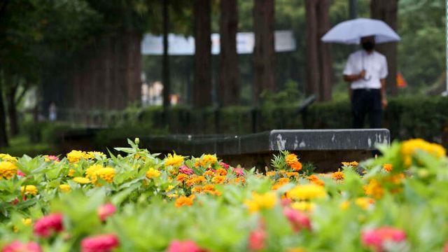 <오늘의 날씨> 전국 흐리고 ‘가을 호우’⋯최대 100mm↑