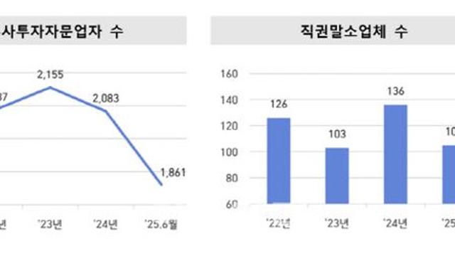 금감원, 직권말소로 부적격 유사투자자문업자 105곳 퇴출