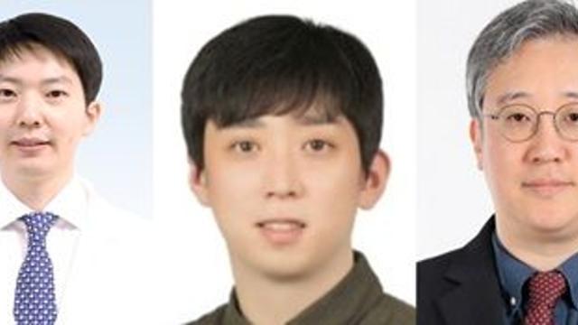 20·30대 지방간질환 환자 급증 속 조기 발병암 위험 일반인 대비 20% 높아