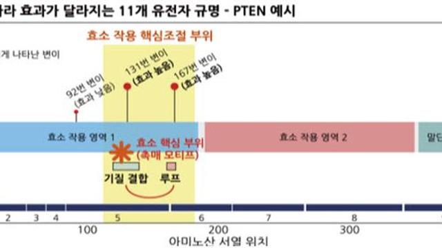 가족 단위 분석으로 ‘자폐 스펙트럼 장애’ 새로운 유전적 기전 규명
