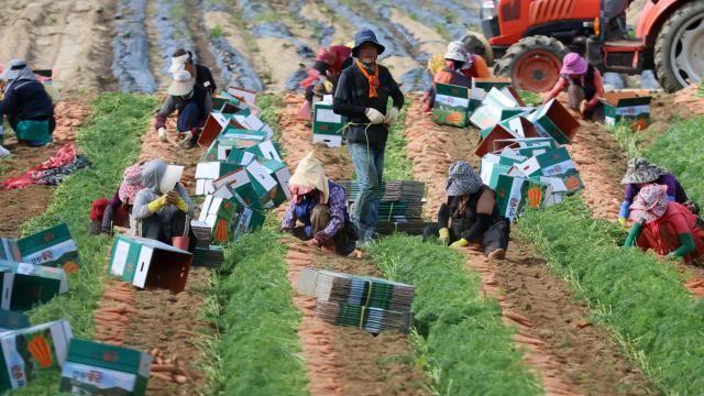 超三成外籍劳工集中首都圈 韩国E-9签证区域失衡显现