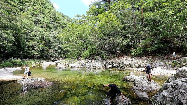 인제군, 청정 자연 앞세워 '1천만 관광도시' 도약 잰걸음