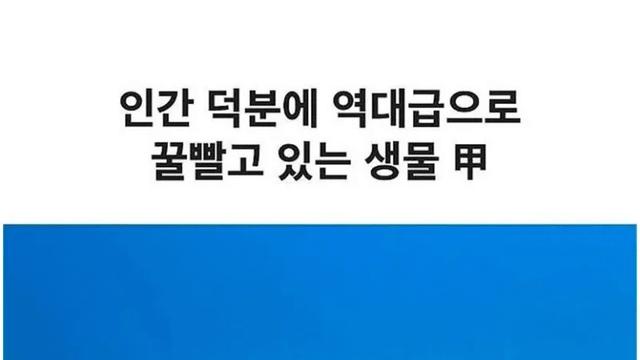 인간 덕분에 역대급으로 꿀 빨고 있는 생물 