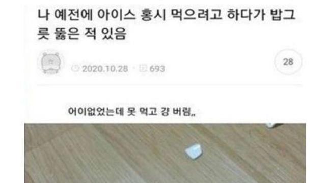 아오키지가 얼렸나