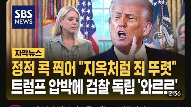 트럼프 