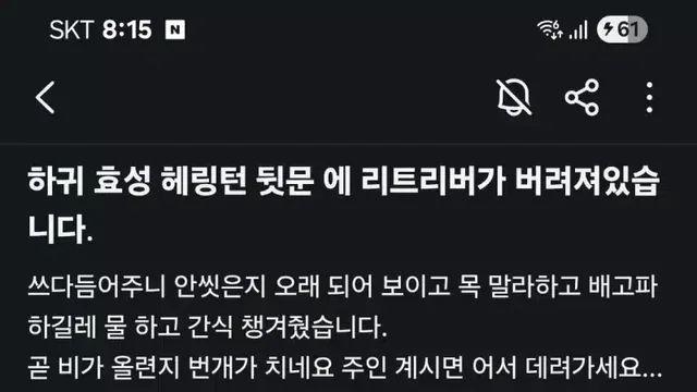 [스압] 리트리버가 버려져있어요ㅠㅠ.jpg,,
