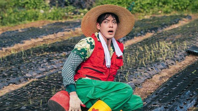 2025 하반기에는 모델 출신 공룡상 배우가 대세?