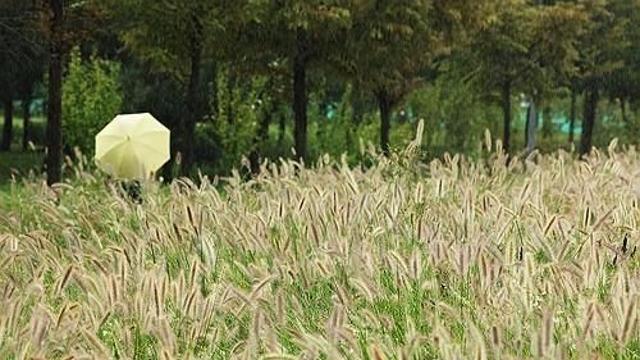 대구·경북 흐리고 가끔 비…낮 기온 25∼28도