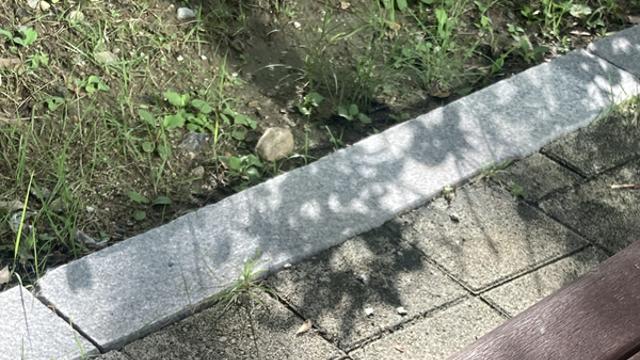 [아름다운 것] 아티스트 웨이② 아티스트 데이트: 크림 라떼