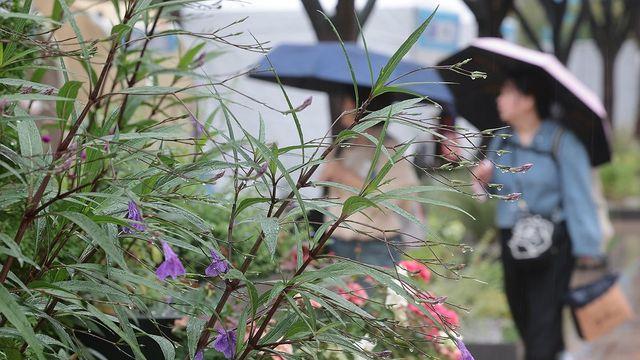 전국 흐리고 충청·남부지방 중심 빗방울…일교차 10도 안팎