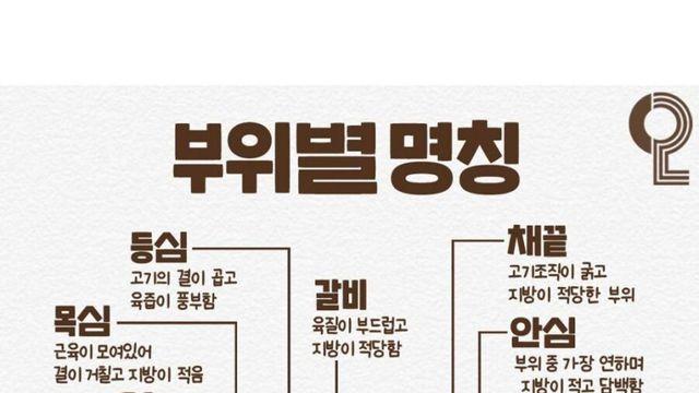 소고기 부위별 특징