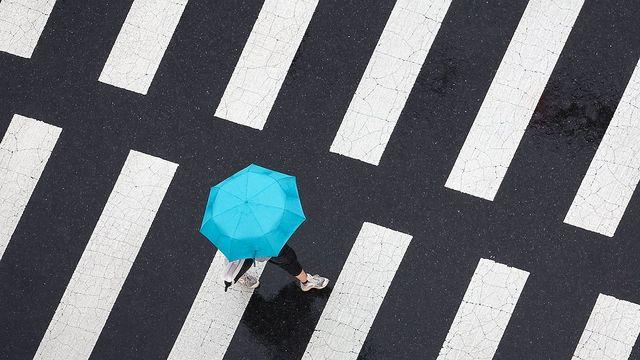대전·세종·충남 흐리고 비…예상 강수량 5∼40㎜