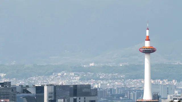 의외로 탐28-200으로 가능한 사진들