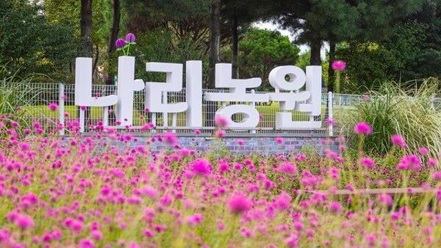 경기관광공사, 경기도 가을 꽃 여행지 추천...