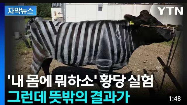 내 몸에 뭐하소